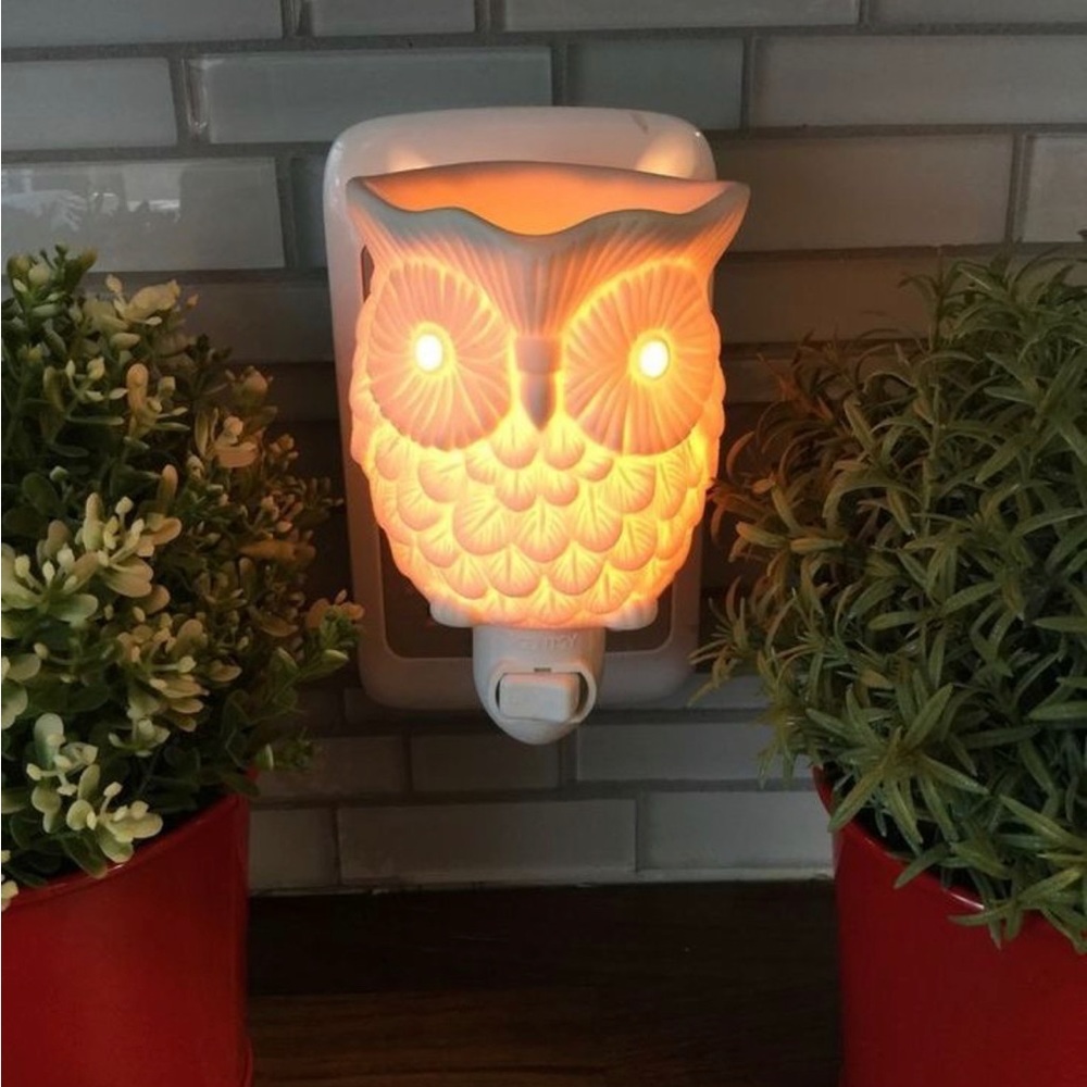 ✨SCENTSY..NEW, Woot mini warmer✨